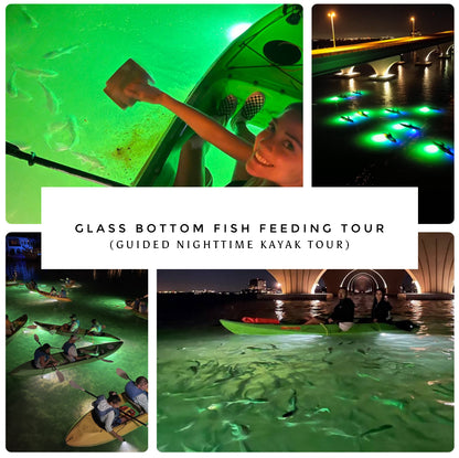 Glass Bottom Fish Feeding Tour